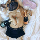 Photo frenchie.world